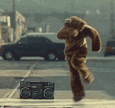 L'ours qui danse!
