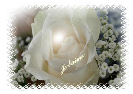 I love you