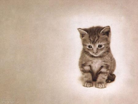 chat 2